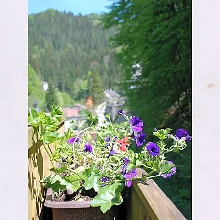 Waldblick Bed & Breakfast