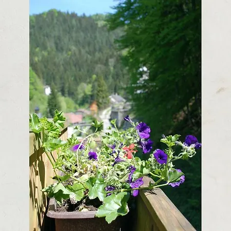 Alojamento de Acomodação e Pequeno-almoço Waldblick 3*