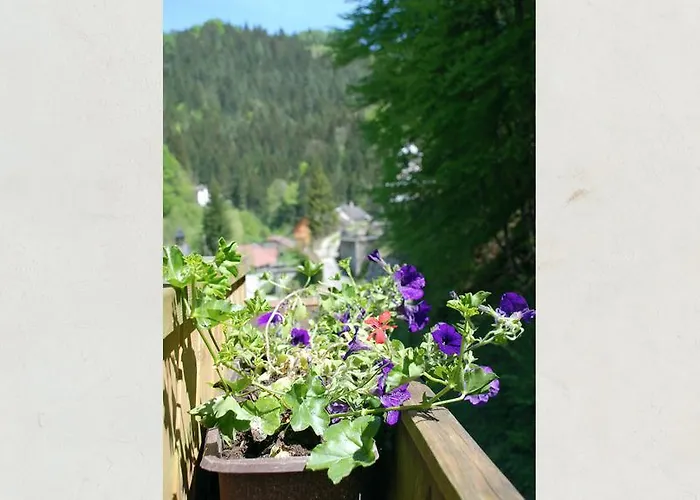 Couette-café Waldblick 3*